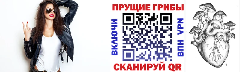 Галлюциногенные грибы GOLDEN TEACHER Ковдор